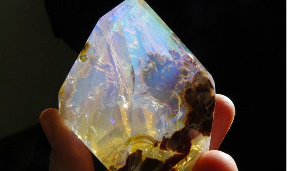 WealthStone (5)